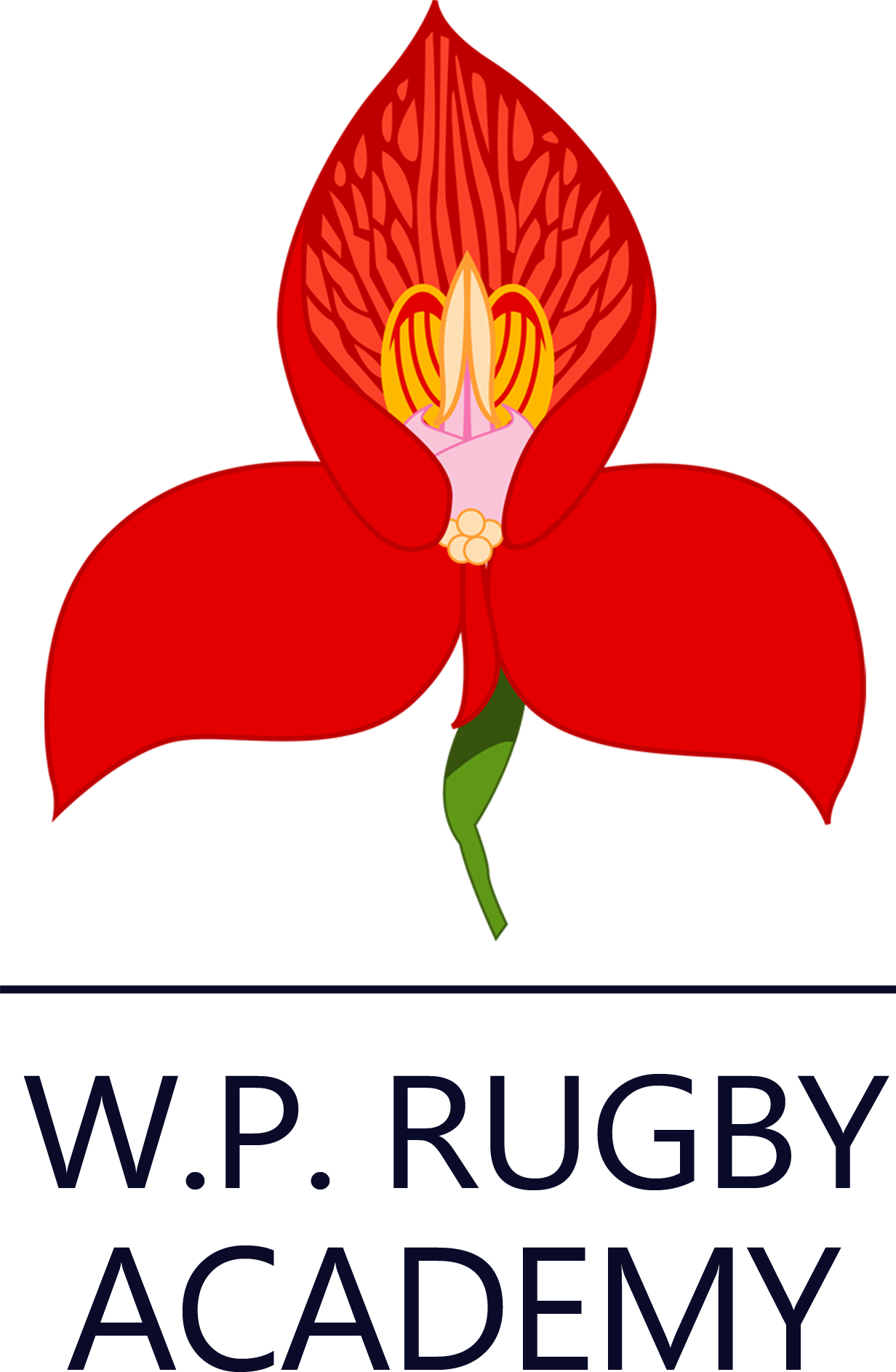 Western Province Rugby Academy Pumas Rugby Institute western-province-rugby-academy-pumas-rugby-institute